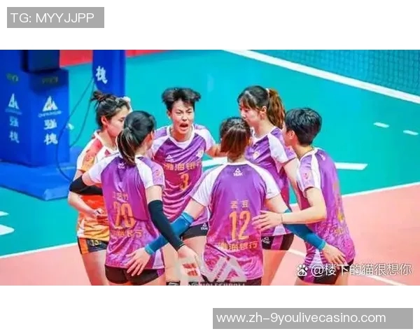 辽宁女排与江苏女排巅峰对决精彩回顾与赛后分析